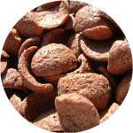 Avatar generalchocapic